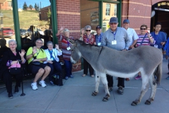 Group with Donkey