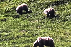 IMG_7210