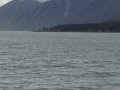 AlaskaCruise #3