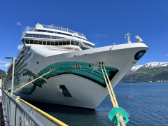 Alaska Cruise and Land 1 2025