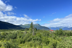 IMG_3973