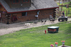 IMG_8821