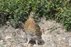 IMG_8881