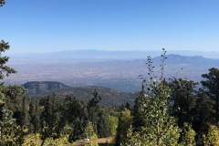 IMG-4687