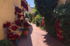 IMG-4694