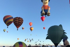 IMG_5554
