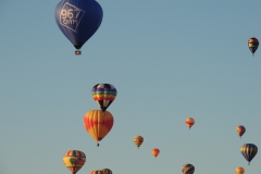 DSCN6282
