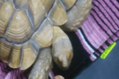 0712221536e