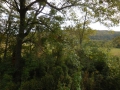 DSCN0250