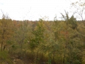DSCN0263