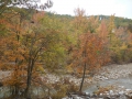 DSCN0264
