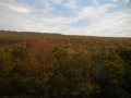 DSCN0266