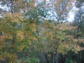 DSCN0268