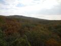 DSCN0270