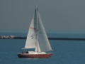 DSCN6647