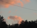 DSCN6700