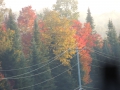 DSCN6715