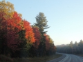 DSCN6716