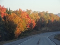 DSCN6719