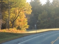 DSCN6726