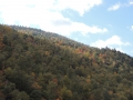 DSCN6728