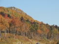 DSCN6731