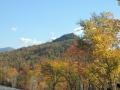 DSCN6736