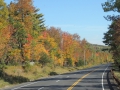 DSCN6737