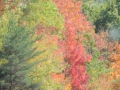 DSCN6767