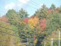 DSCN6770