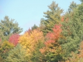 DSCN6771