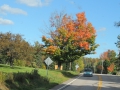 DSCN6772
