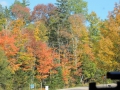DSCN6774