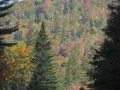 DSCN6777