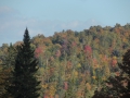 DSCN6778