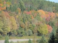 DSCN6779