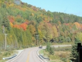 DSCN6780