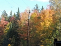 DSCN6786