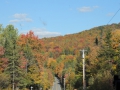 DSCN6790