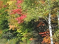 DSCN6796
