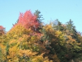 DSCN6800