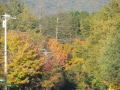 DSCN6825