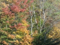 DSCN6830