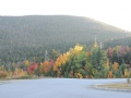 DSCN6842