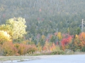DSCN6843