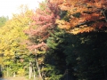 DSCN6854