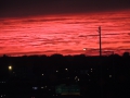 DSCN7077