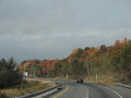 DSCN7133