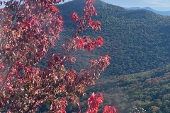 IMG_0345
