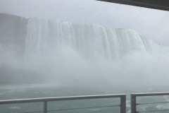 IMG_5391